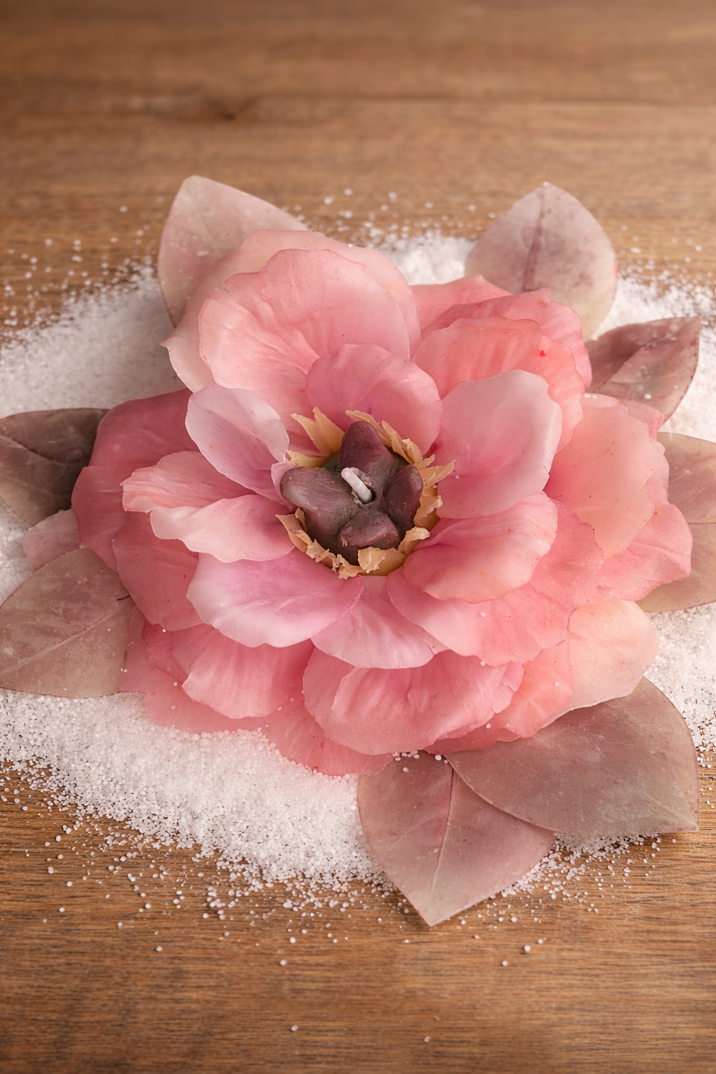 KIT INICIACIÓN GAPADI – Sistema Base