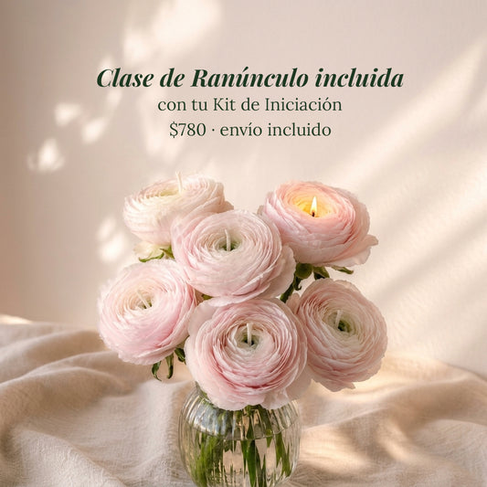 Kit de Iniciación para Flores de Cera Realistas