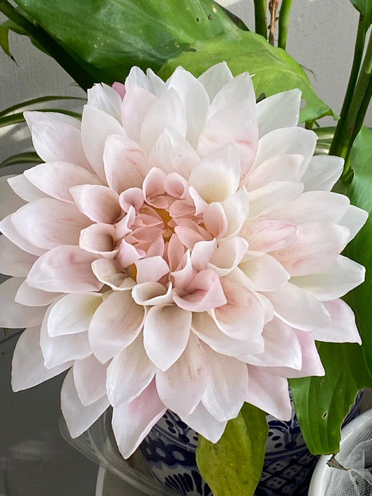 CERA FLEXIBLE GAPADI | Presentaciones 1 kg – 4.5 kg